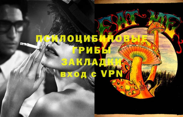 spice Аркадак