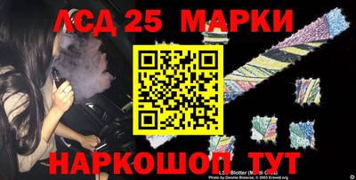 СК Кандалакша