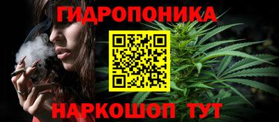 ПСИЛОЦИБИНОВЫЕ ГРИБЫ Канаш