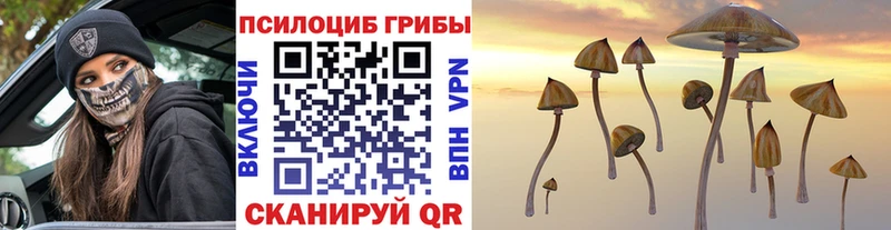 Галлюциногенные грибы Psilocybe  Петрозаводск 