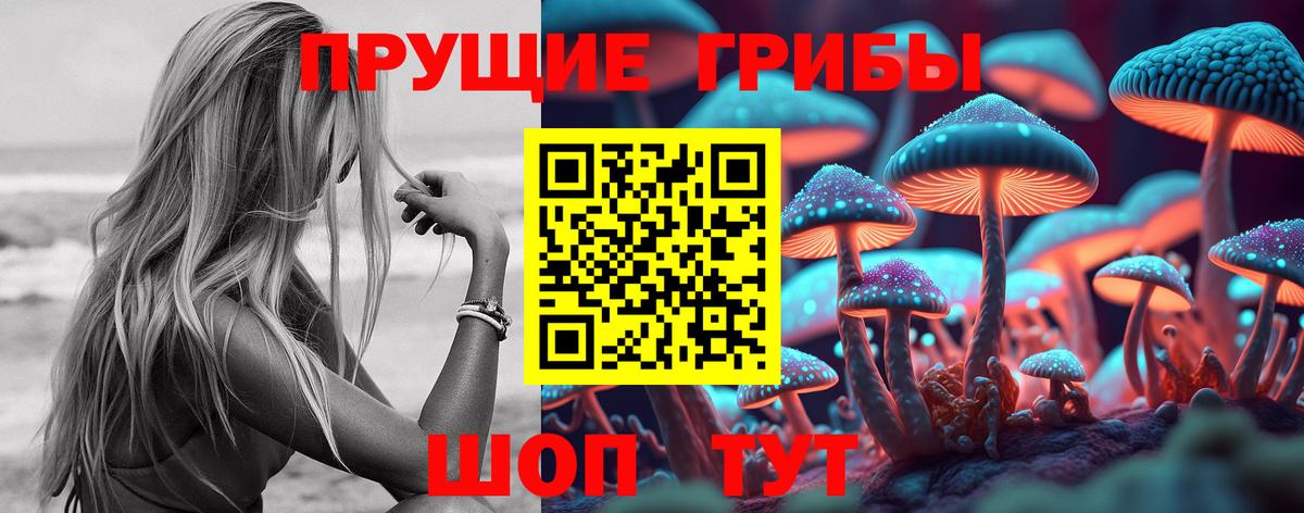 Петрозаводск  Галлюциногенные грибы Psilocybine cubensis  Вход с VPN  Галлюциногенные грибы GOLDEN TEACHER 