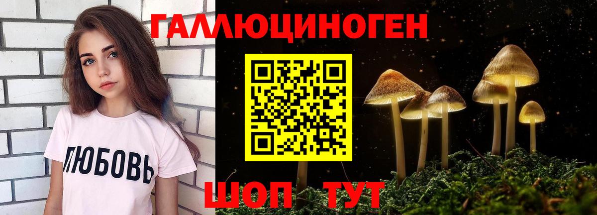 Псилоцибиновые грибы Cubensis Петрозаводск